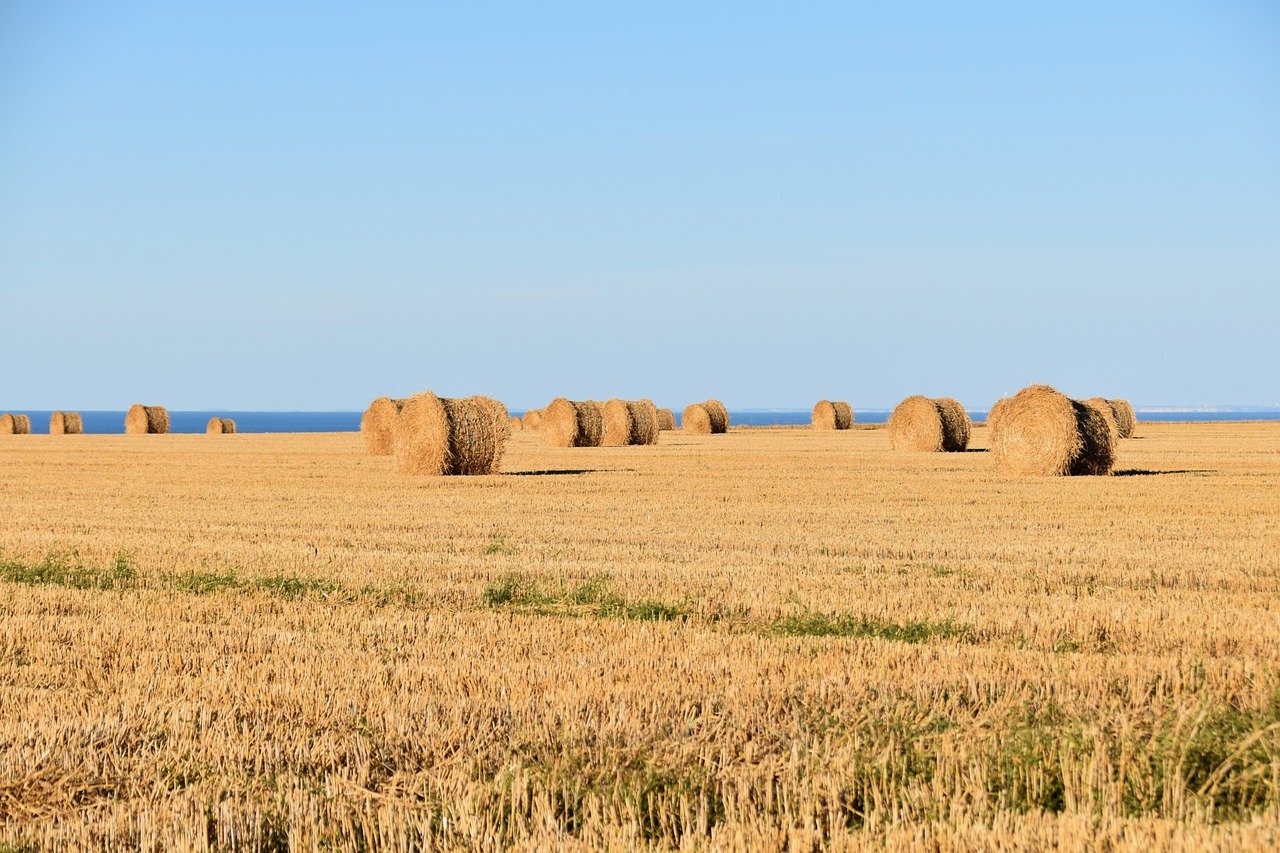 Straw Fields Thatch Agriculture  - JACLOU-DL / Pixabay