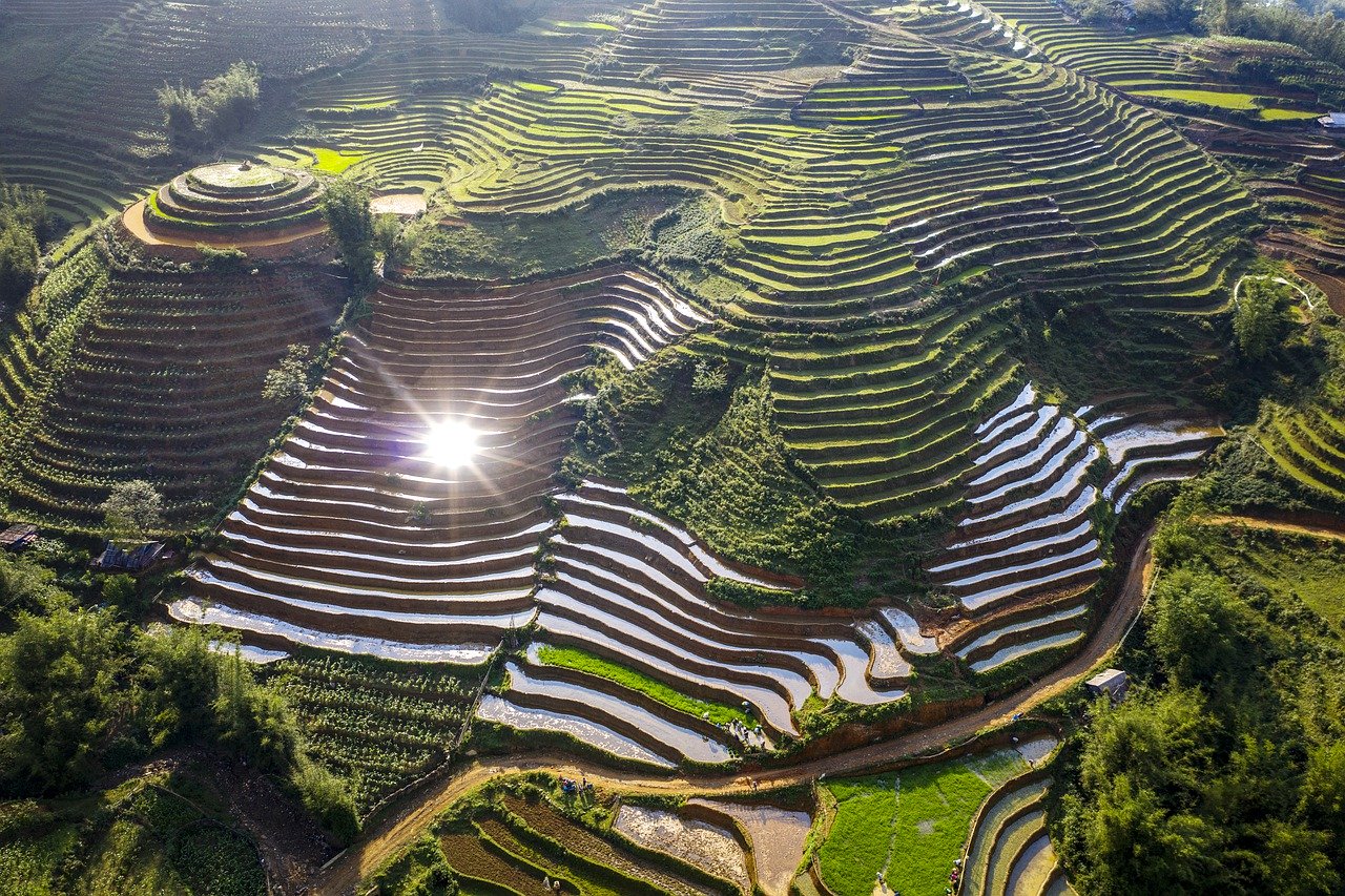 Terraces Rice Field Rice Land  - dangquangn / Pixabay
