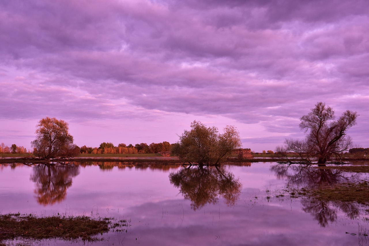 River Flood Sunset Trees Floods  - Peggychoucair / Pixabay