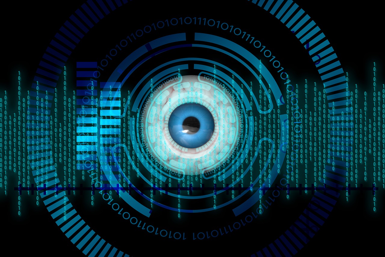 Eye Biometrics Binary Code Binary  - geralt / Pixabay