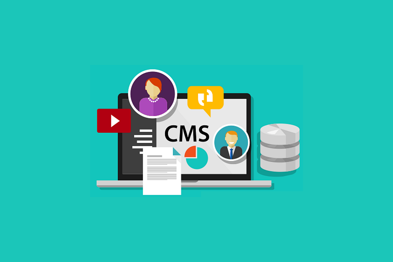 Software Laptop Cms Software Cms  - jmexclusives / Pixabay